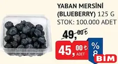 YABAN MERSİNİ (BLUEBERRY) 125 G YABAN MERSİNİ (BLUEBERRY) 125 G